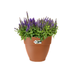 vibia campana rond 20cm terra